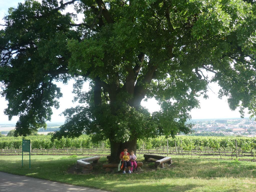 Ubytovani Nad Sklipkem Valtice Buitenkant foto
