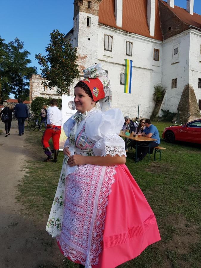 Ubytovani Nad Sklipkem Valtice Buitenkant foto